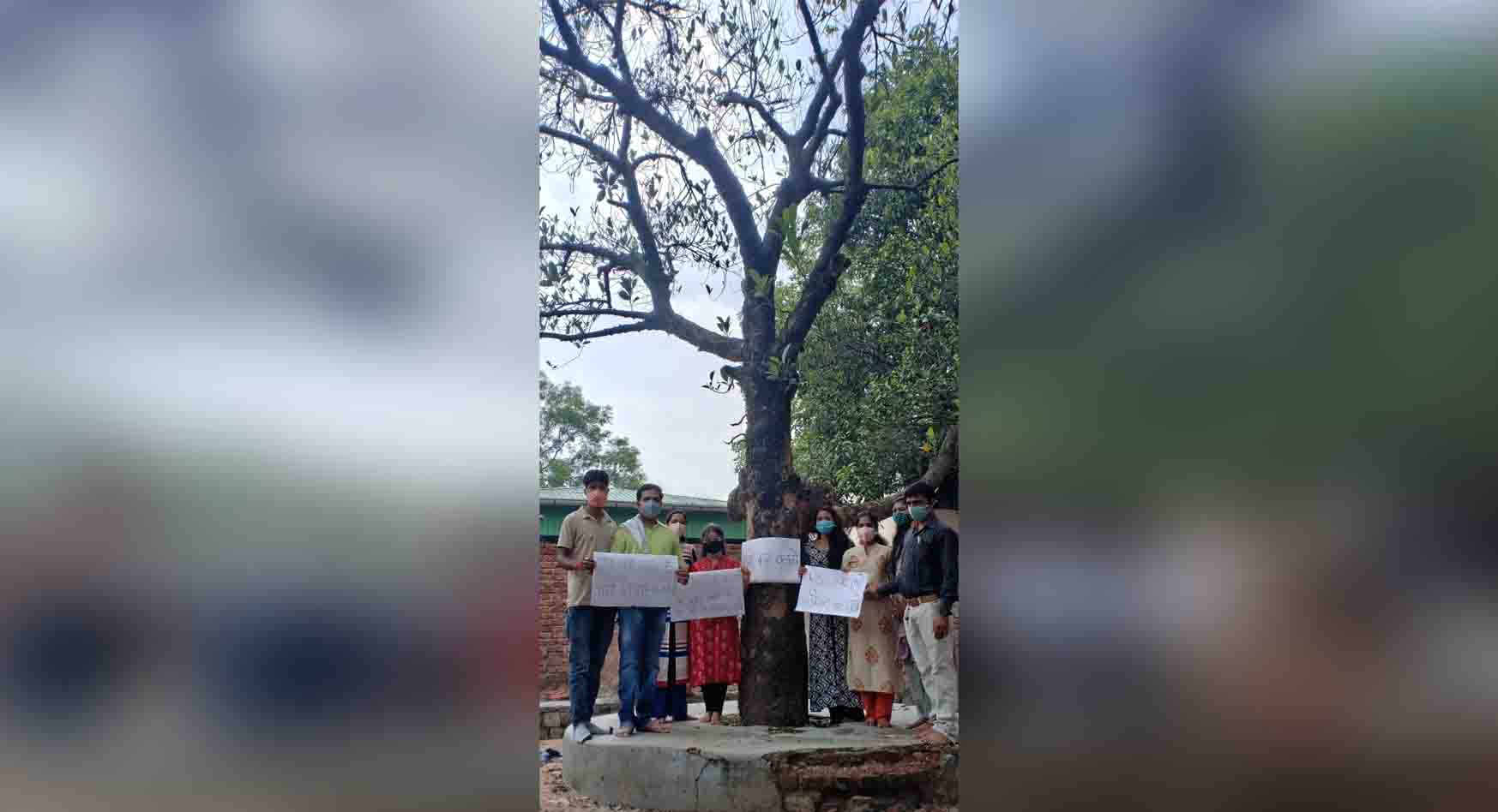 रक्षासूत्र बांधकर छात्र- छात्राओं ने कटहल पेड़ की डालियों को काटने का किया विरोध