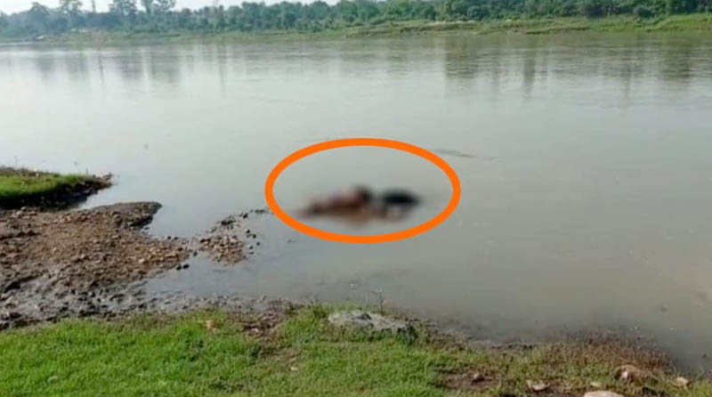 दामोदर नदी में तैरता मिला अज्ञात युवक का शव