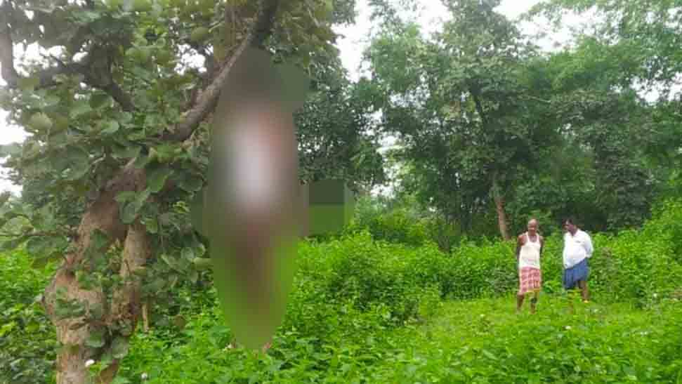 जंगल में पेड़ से लटकता मिला व्यक्ति का शव,जांच में जुटी पुलिस