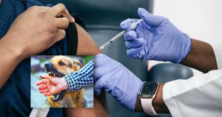 कुत्ते के काटने पर एंटी रेबीज का टीका लेने पहुंचे युवक को लगा दिया कोरोना वैक्सिन का टीका